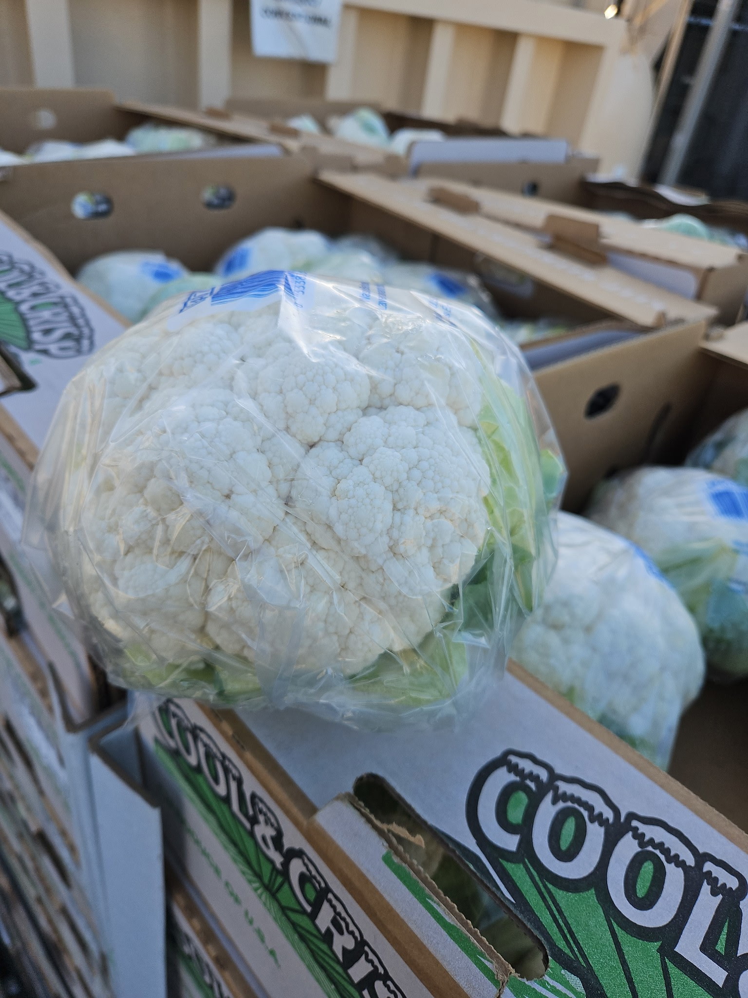 Cauliflower boxes